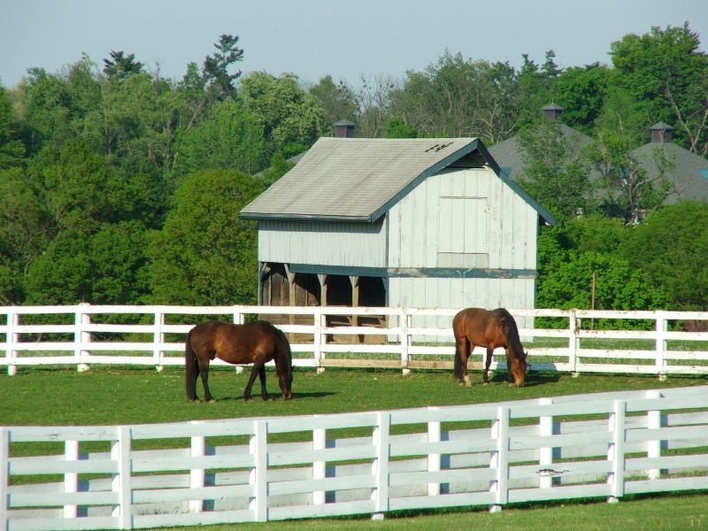 Stable Fencing Installation